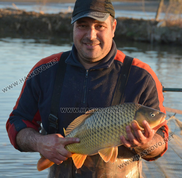 Рибата в язовирите в Хасковско малко, шаранът скочи с лев преди Никулден
