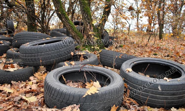 Хасковлия: Сметище от гуми се образува в горичката до „Кекличево стопанство“