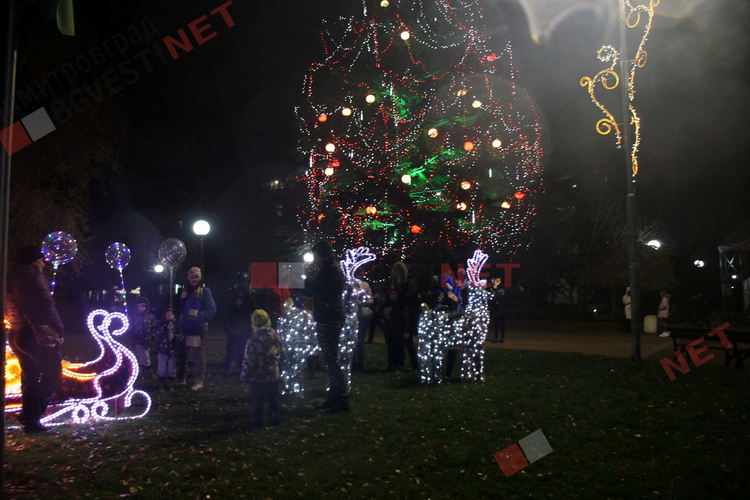 Грейнаха светлините на най-голямото живо Коледно дърво