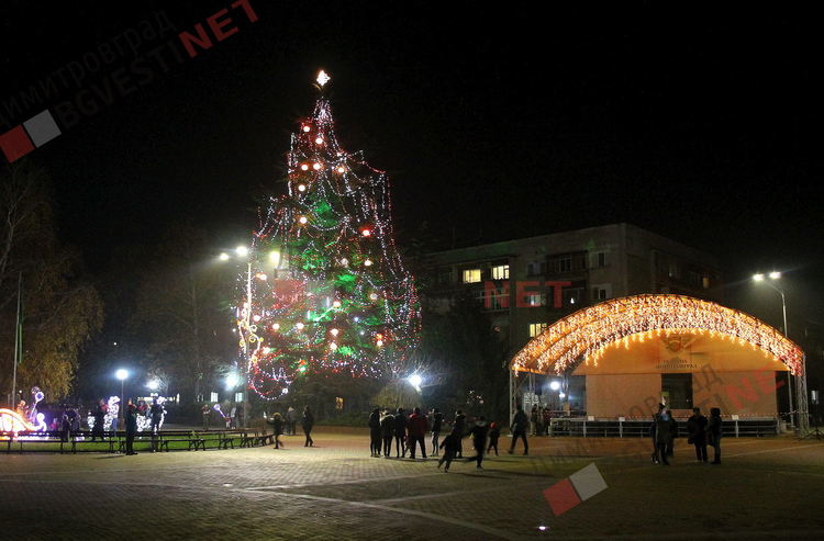 Грейнаха светлините на най-голямото живо Коледно дърво