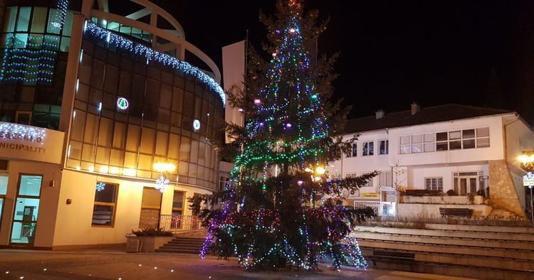 Днес грейва коледната елха в Неделино