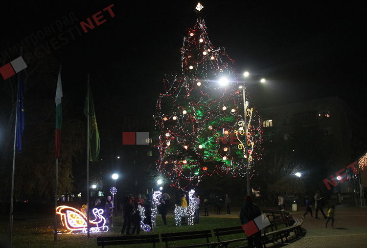 Грейнаха светлините на най-голямото живо Коледно дърво