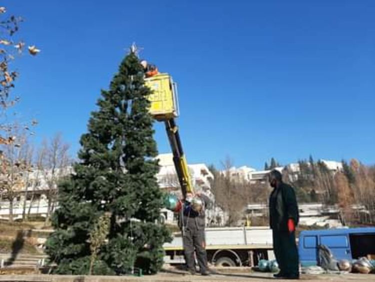 Светлините на коледната елха в Смолян ще грейнат на 7 декември