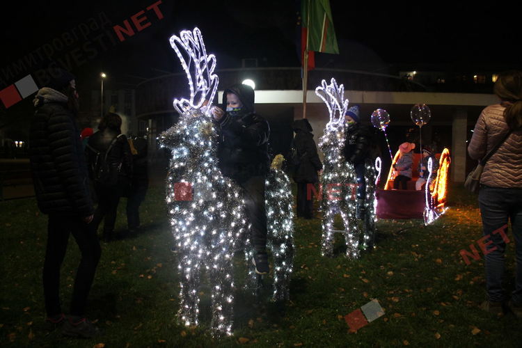 Грейнаха светлините на най-голямото живо Коледно дърво