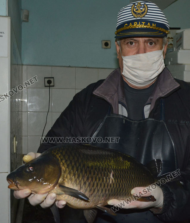 Шаранът поскъпна в последния момент. Проверки до дупка по магазините
