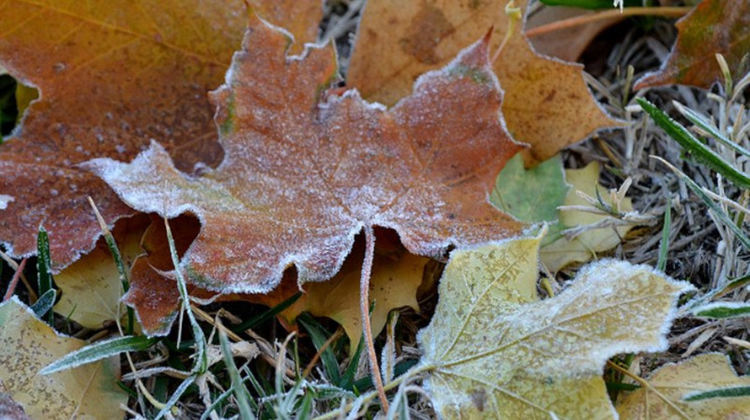Мрачна и мъглива събота