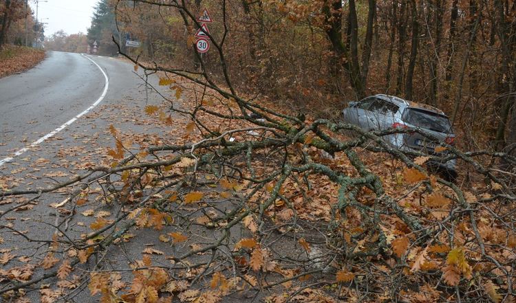 Трима в болница от излетяла кола по Кенанския път