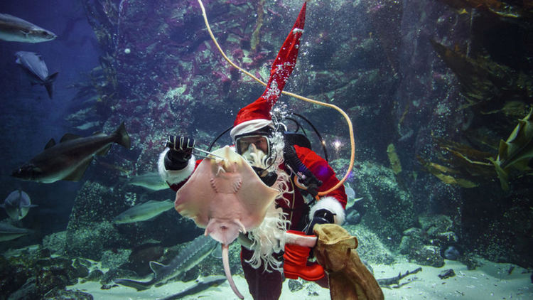 Невесела Коледа очаква Европа