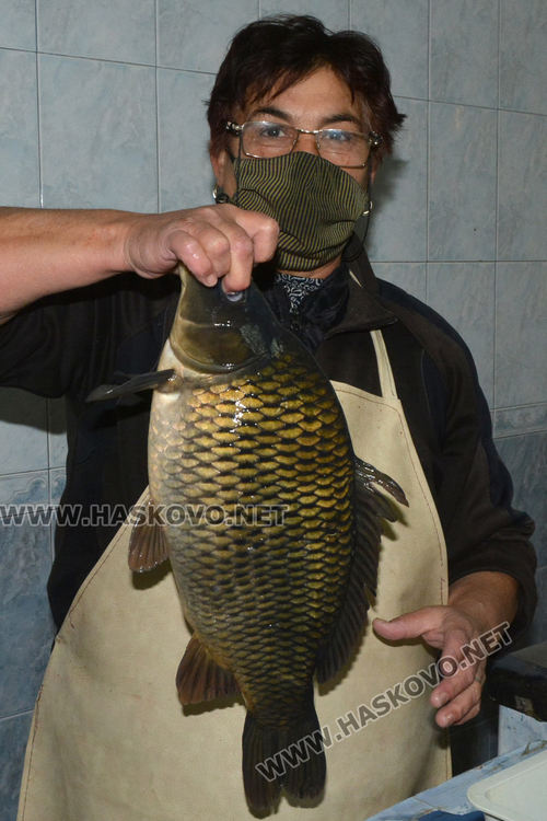 Шаранът поскъпна в последния момент. Проверки до дупка по магазините