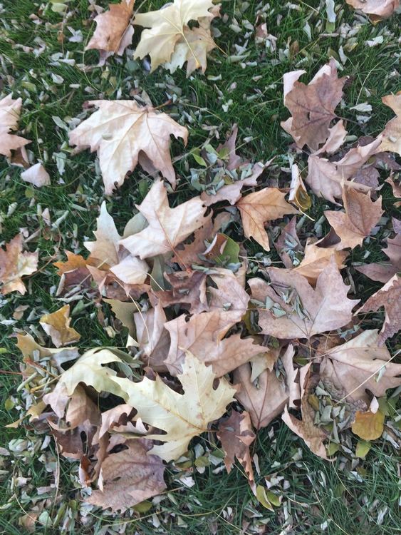 Oблачно, мъгливо и дъждовно в неделя