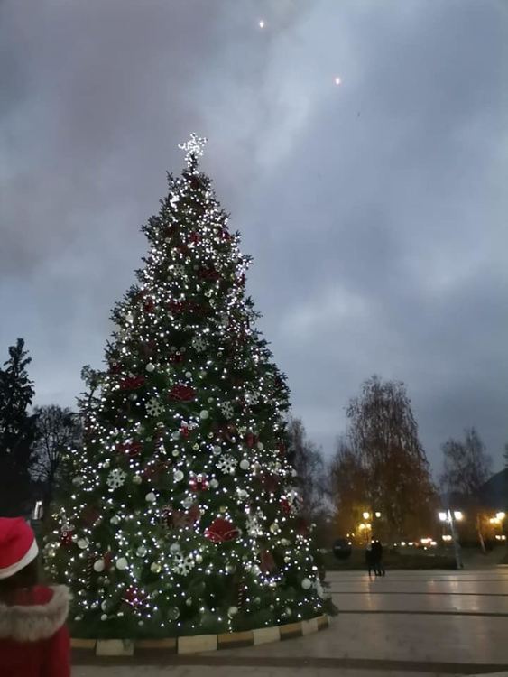 Блеснаха светлините на коледната елха в Златоград