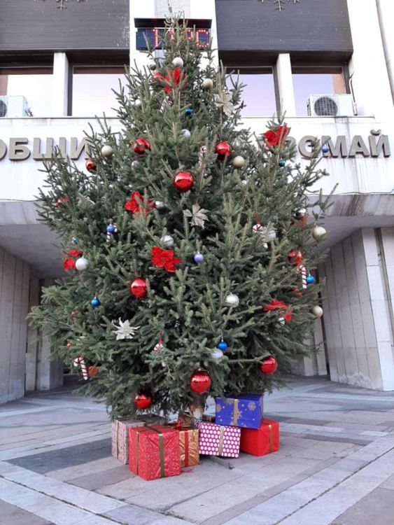 Пред Общината заблестя дарена елха