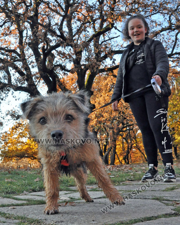 12-градусовите температури днес по обяд "заведоха" хасковлии на „Кенана“