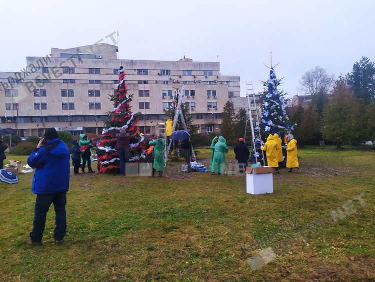    Украсяват коледни елхи пред Общината,Белият кораб ще свети с надпис „2021”