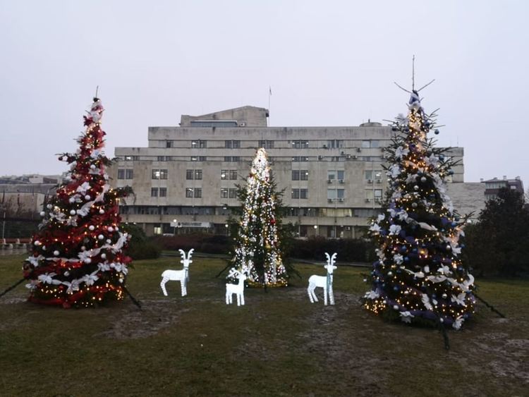    Украсяват коледни елхи пред Общината,Белият кораб ще свети с надпис „2021”