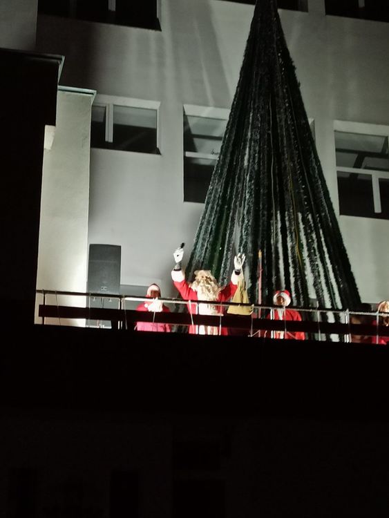 Грейна елхата на "Славейков"