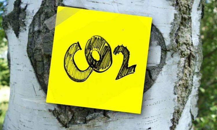 Рекорден спад на емисиите на CO2 за 2020 г. заради пандемията