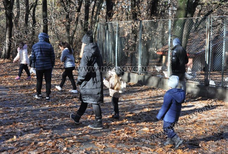 Двойно меню за първия рожден ден на лъвчетата в Хасковския зоопарк