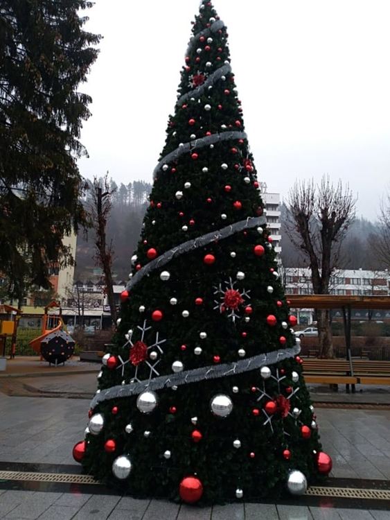 Грейна коледната елха и в Мадан