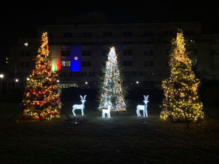 Вандали унищожават коледната украса