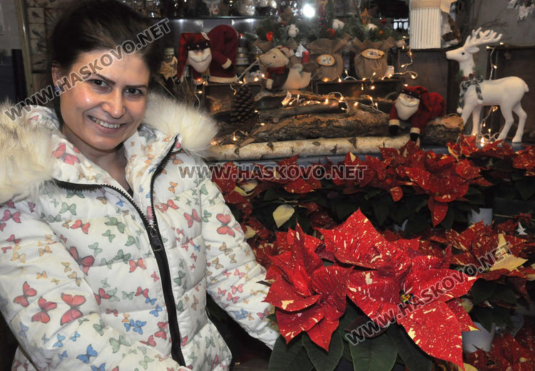 Коледната звезда –каприз, красота и усещане за надежда