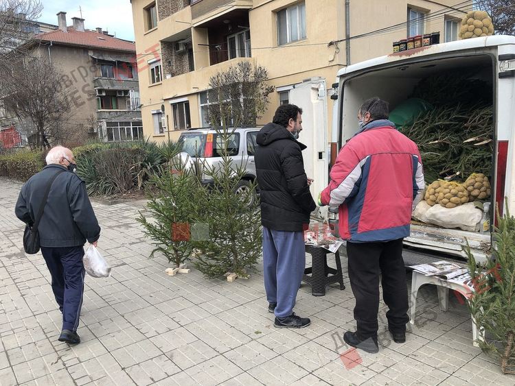 Над 20 години Бойко от смолянско носи коледния дух в Димитровград с коледни дръвчета за празника