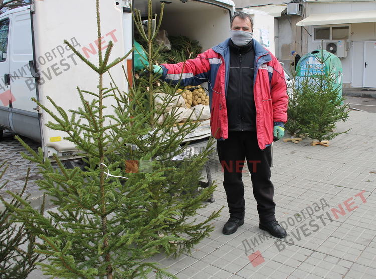 Над 20 години Бойко от смолянско носи коледния дух в Димитровград с коледни дръвчета за празника