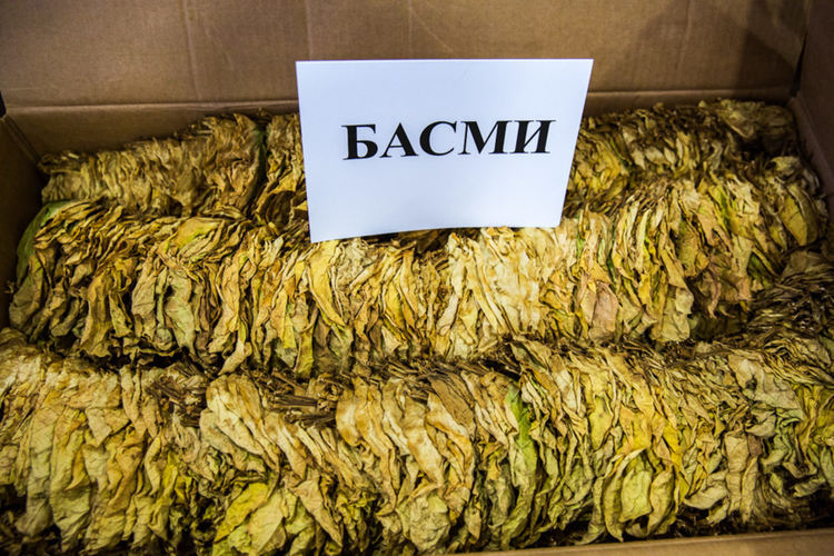 Търговците смъкват с лев цената на килограм от "Басмите", тютюнопроизводителите отказват да продават