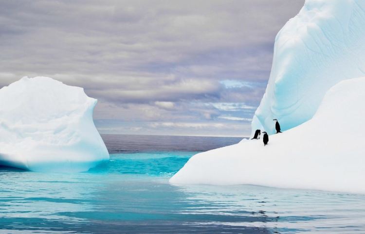 Гигантският айсберг, който застрашава пингвините, се разцепи