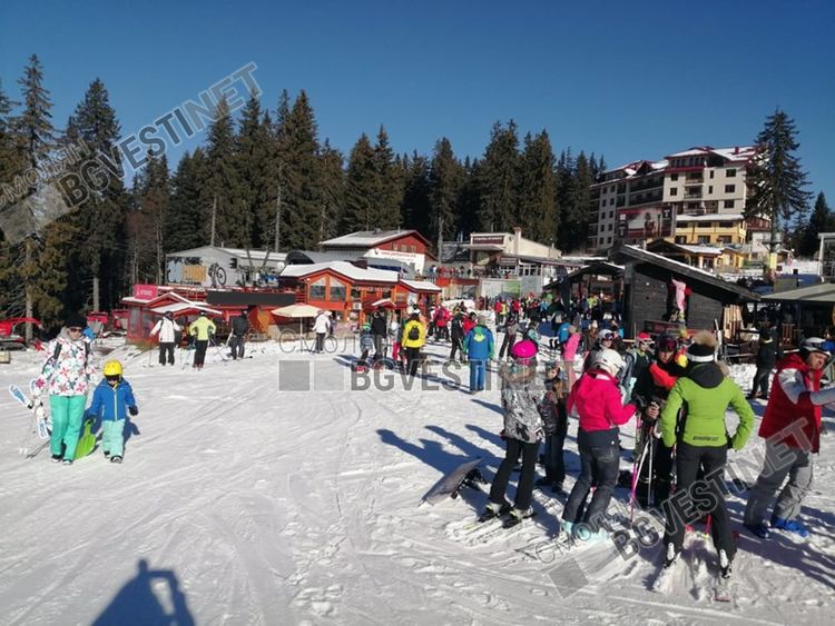 Стотици атакуваха пистите на Пампорово