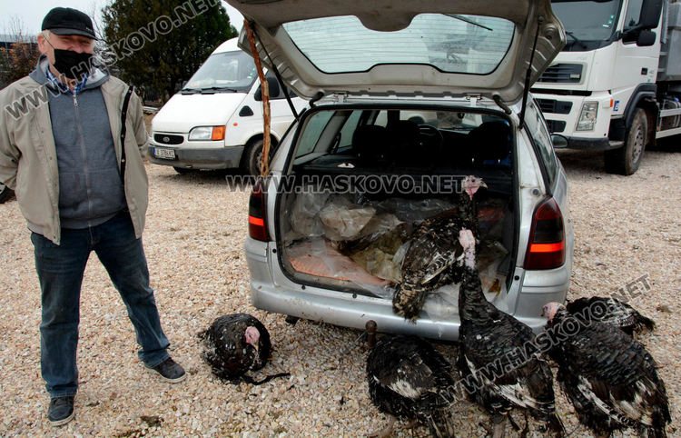 Пуйки по 20 килограма на пазара за Коледа