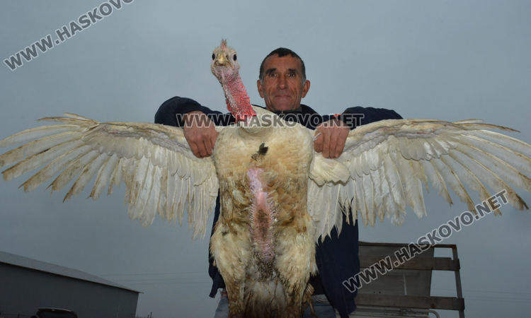 Пуйки по 20 килограма на пазара за Коледа