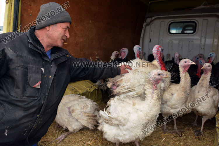 Пуйки по 20 килограма на пазара за Коледа