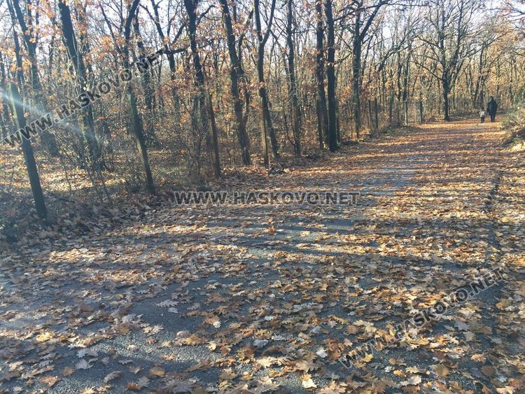 Приятна неделя