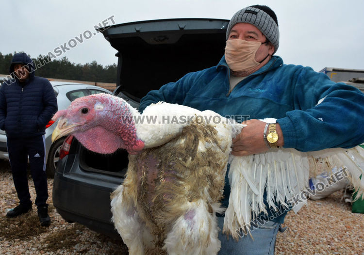 Пуйки по 20 килограма на пазара за Коледа