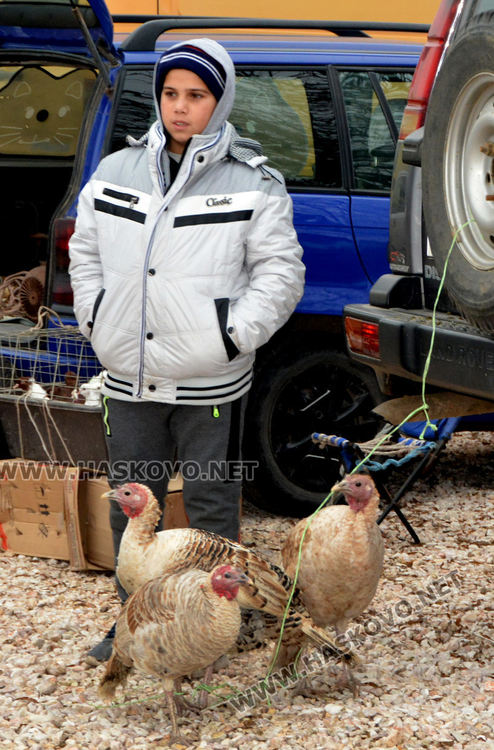 Пуйки по 20 килограма на пазара за Коледа