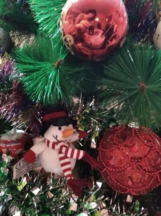 РИОСВ- Хасково за десети път отличи 10 „Приятели на природата“