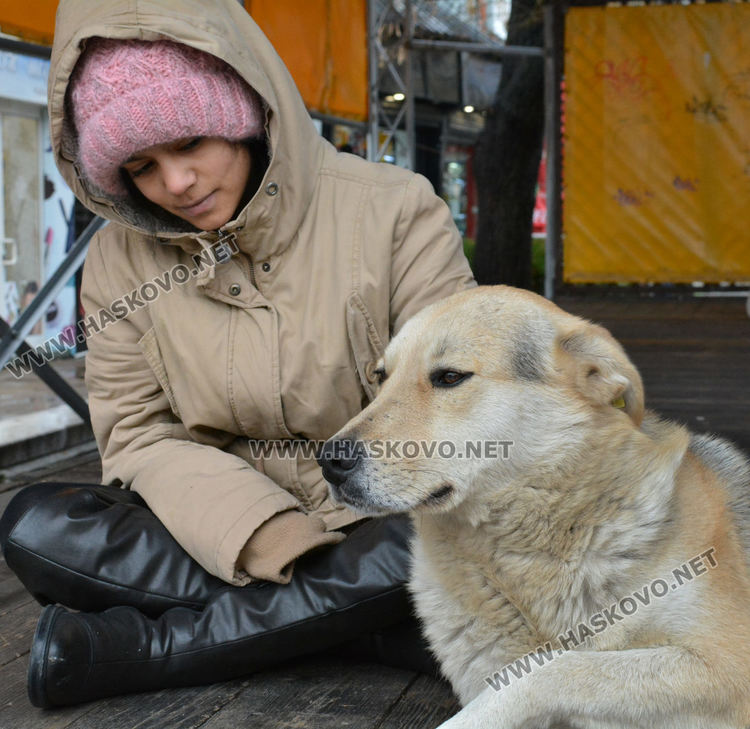 Предимно облачно в началото на седмицата
