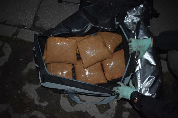 Разбиха канал в Пловдив за наркотици от Западна Европа за Турция