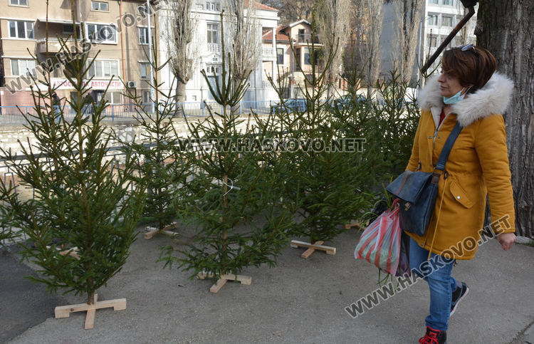 Раздвижване по пазари и магазини в Хасково за Бъдни вечер