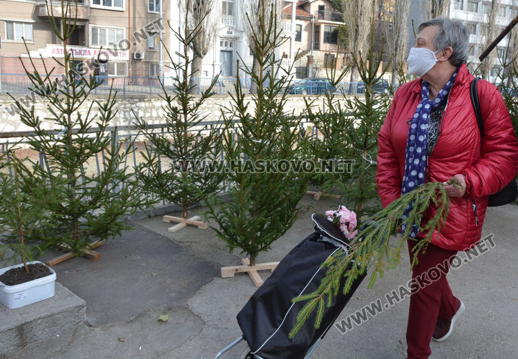 Раздвижване по пазари и магазини в Хасково за Бъдни вечер