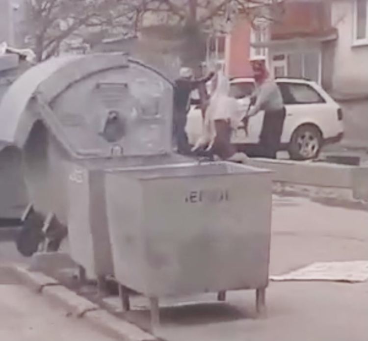 Хасковлия: Разфасоваха едро животно пред блок на “Васил Левски”