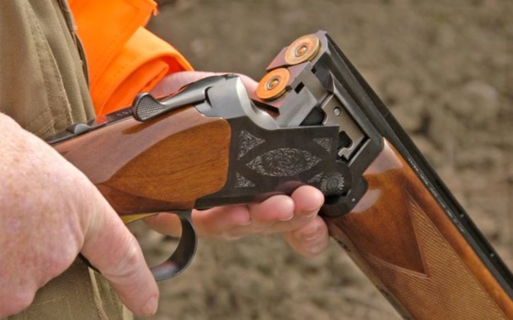 Ловец е прострелян време на групов лов на дива свиня