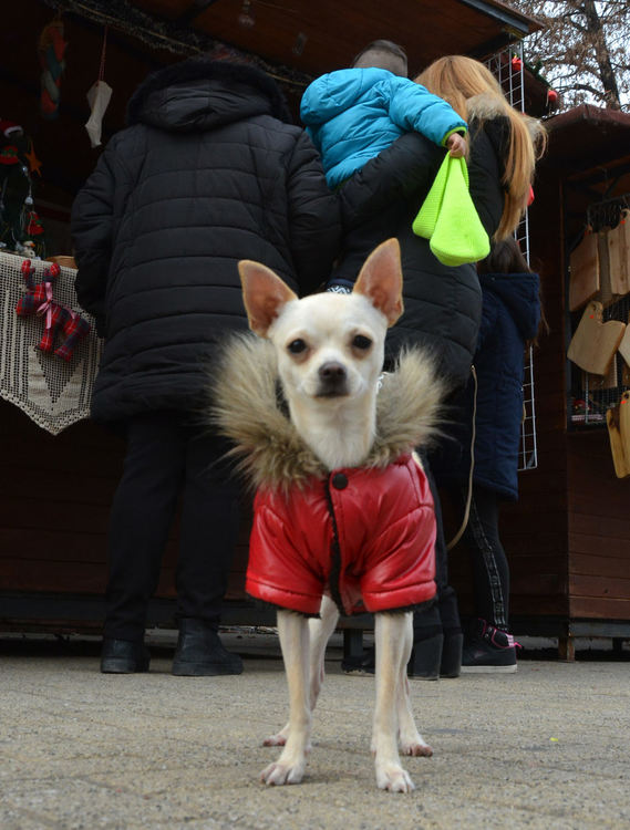 Топло и ветровито и днес
