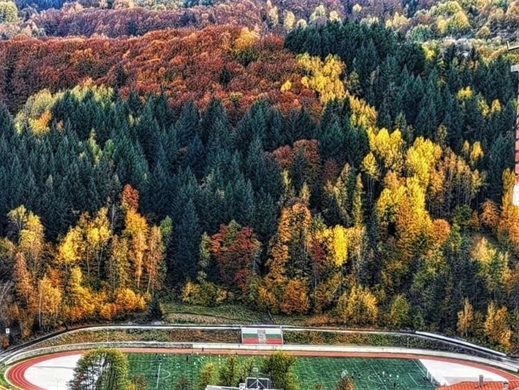 Кметът Мелемов: Въпреки световната пандемия, Община Смолян реализира множество проекти