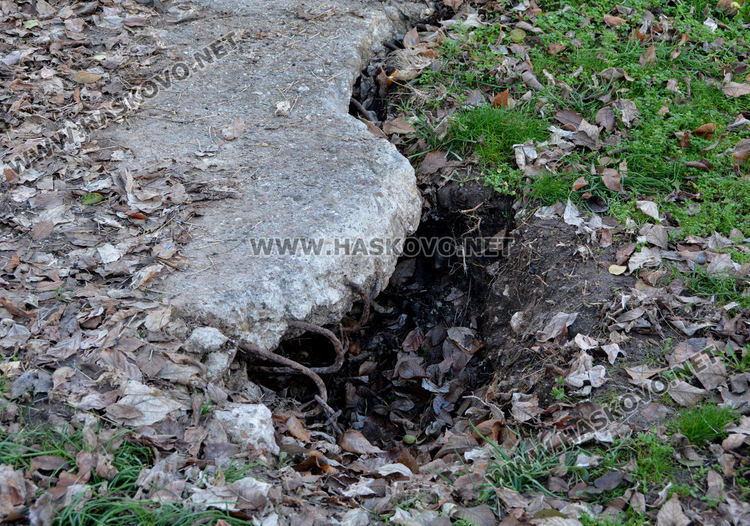 Хасковлии: В Градската градина има опасни дупки, може дете да пострада