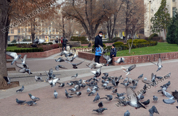 Топъл 31-ви декември 