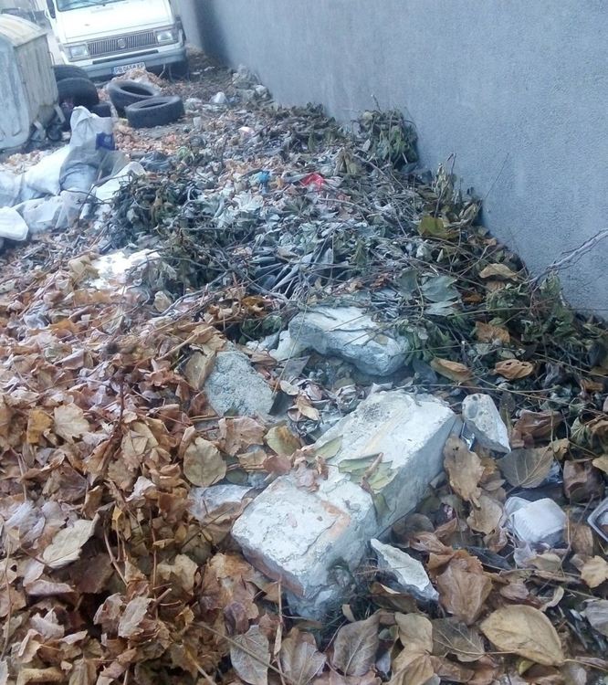 Проведе се кампания, как асеновградчани изхвърлят отпадъците си 