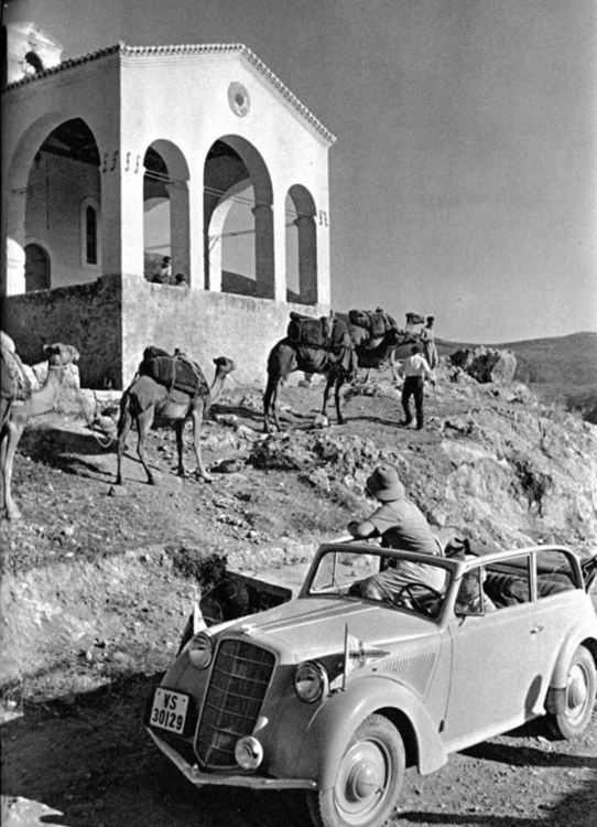 Какво се случи с камилите в Северна Гърция?  