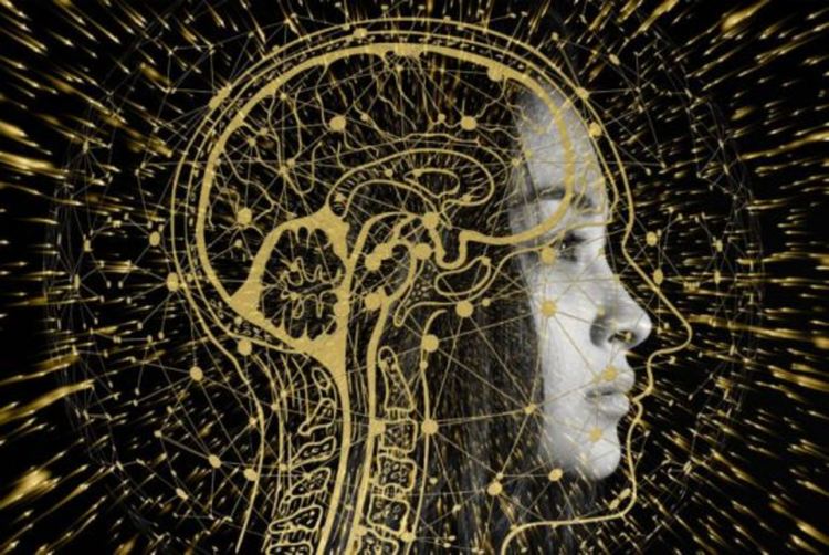 6 препоръки на учени как да „рестартираме мозъка си“ след тежката година на COVID-19